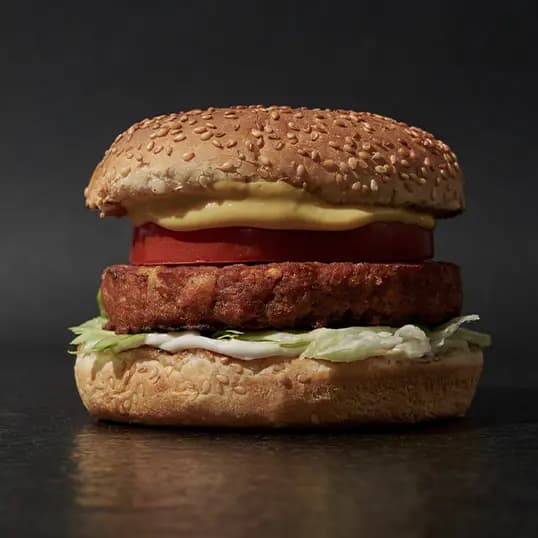Double Vegan Burger